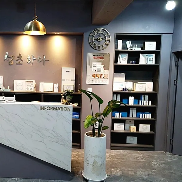 강남구 신사동 청초하다 에스테틱 매장 사진 1