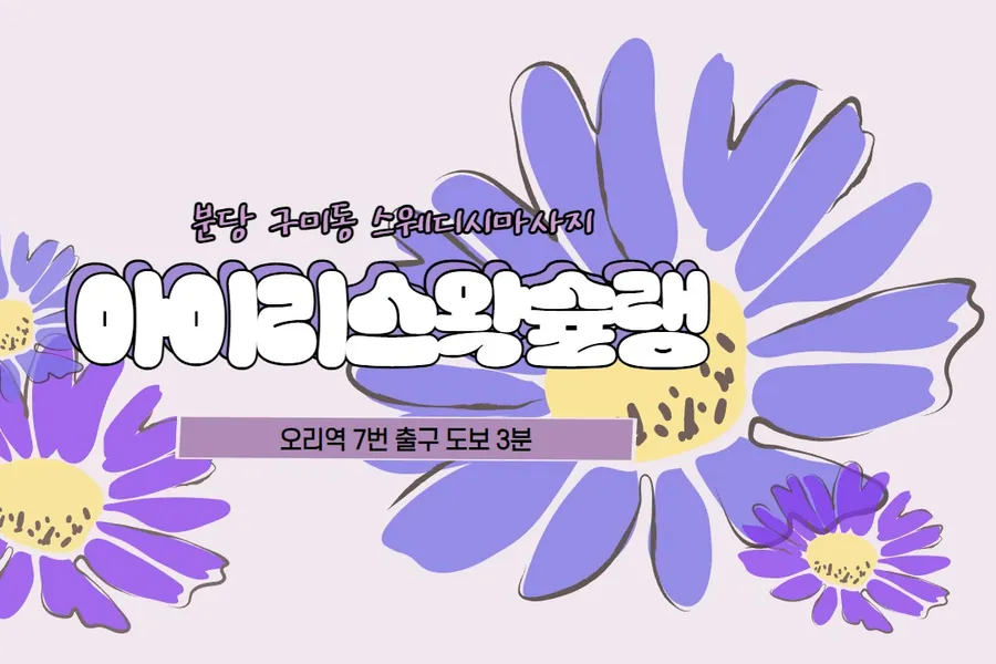 성남시 구미동 아이리스왁슐랭 왁싱 매장 사진 1
