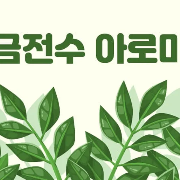 전주시 인후3동 금전수아로마 아로마 매장 사진 1