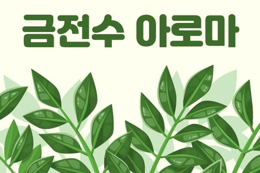 전주시 인후3동 금전수아로마 아로마 매장 사진 1