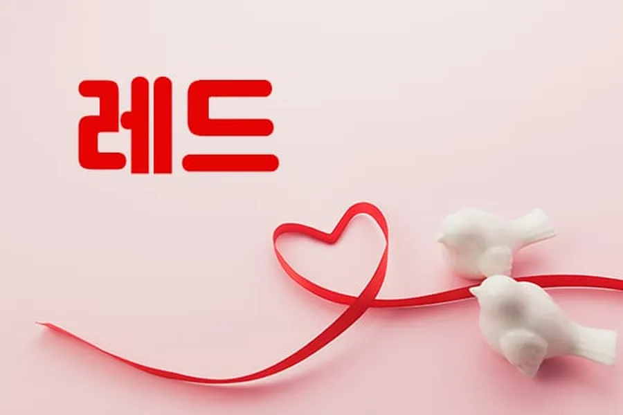 원주시 단계동 레드 1인샵 매장 사진 1
