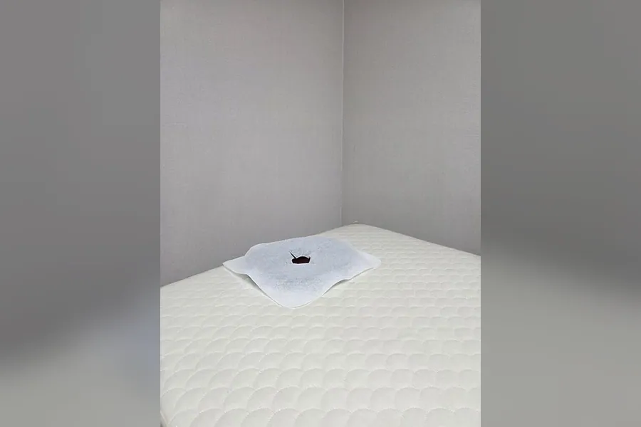 파주시 야당동 유주 1인샵 매장 사진 1