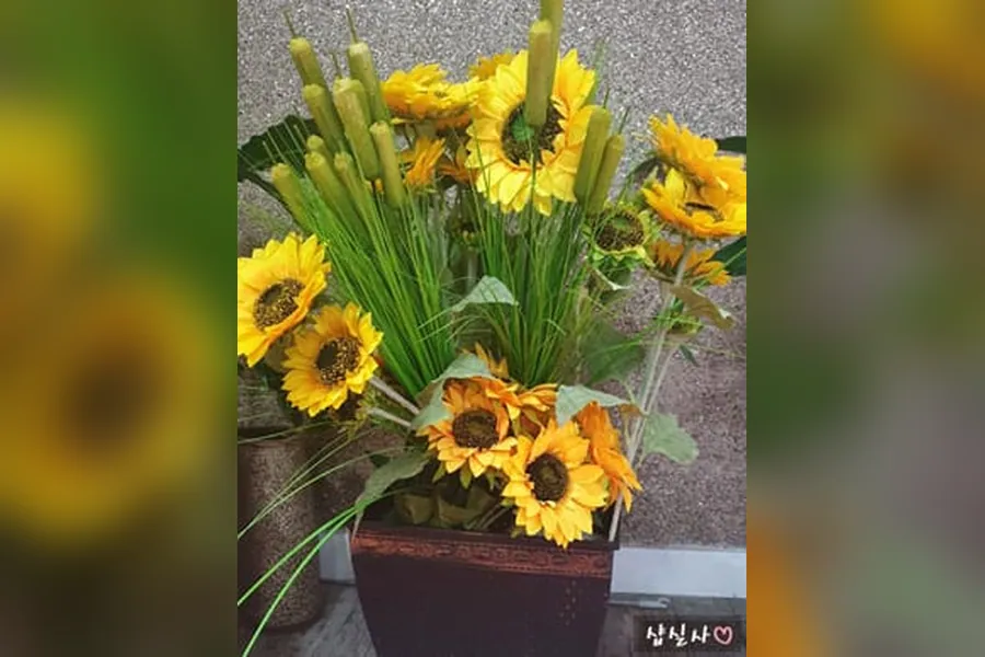 고양시 일산동 채아 1인샵 매장 사진 1