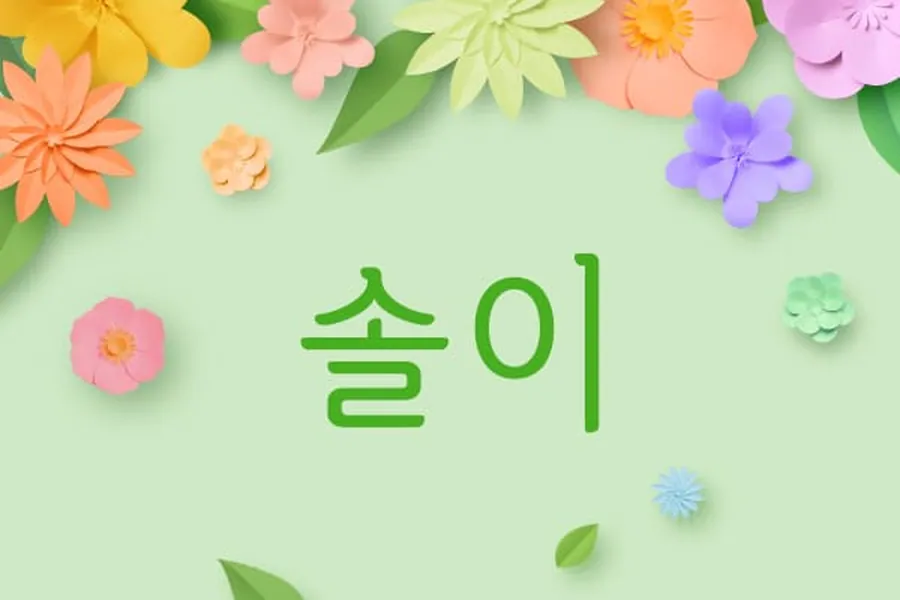 김해시 내덕동 솔이 1인샵 매장 사진 1