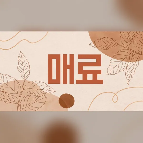 부산진구 부전동 매료 1인샵 매장 사진 1