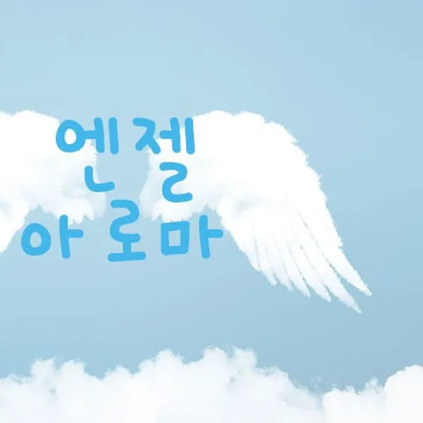 전주시 인후동 엔젤아로마 아로마 매장 사진 1