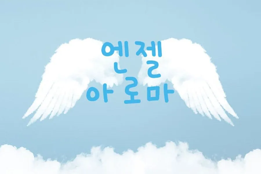 전주시 인후동 엔젤아로마 아로마 매장 사진 1