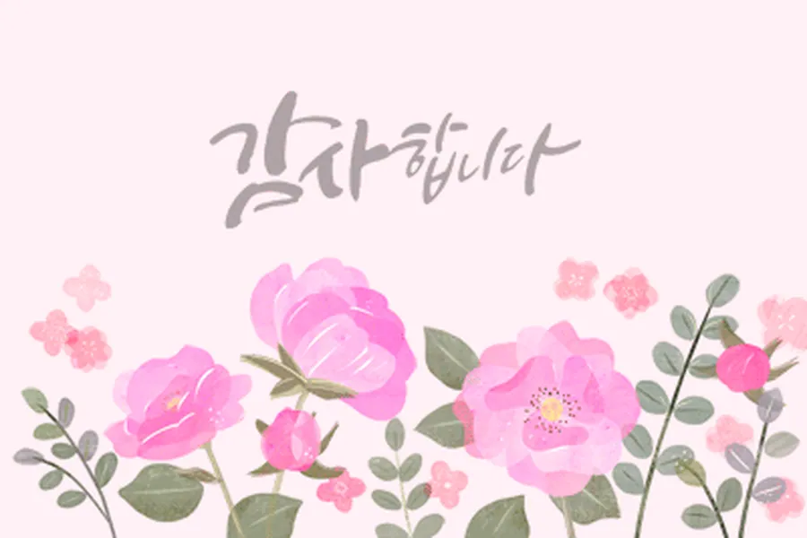 성남시 정자동 레이나 1인샵 매장 사진 1
