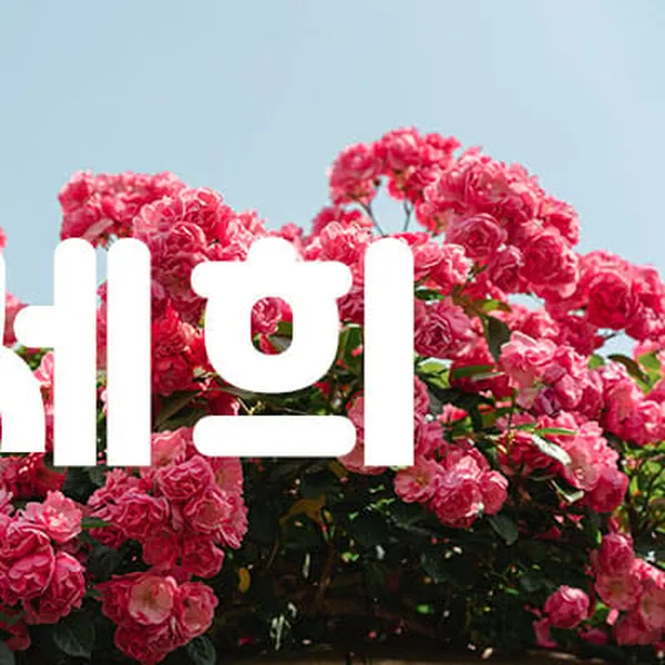 서구 괴정동 세희 스웨디시 매장 사진 1