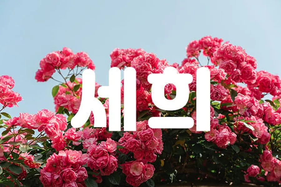 서구 괴정동 세희 스웨디시 매장 사진 1