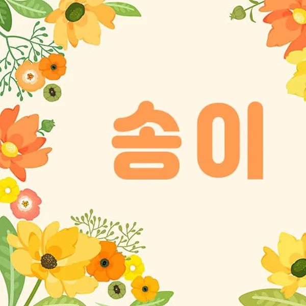안양시 관양동 송이 1인샵 매장 사진 1