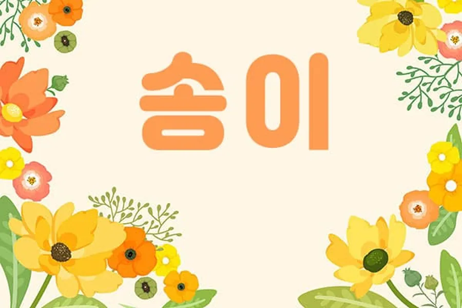 안양시 관양동 송이 1인샵 매장 사진 1
