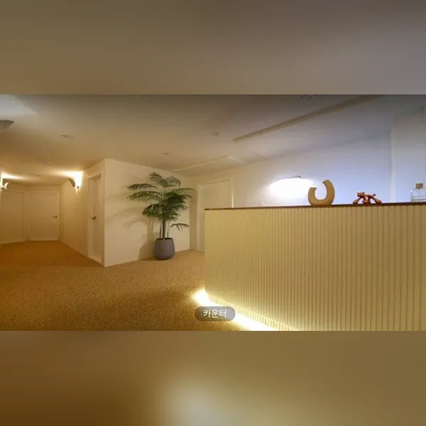 강남구 대치동 하이엔드 스웨디시 매장 사진 1