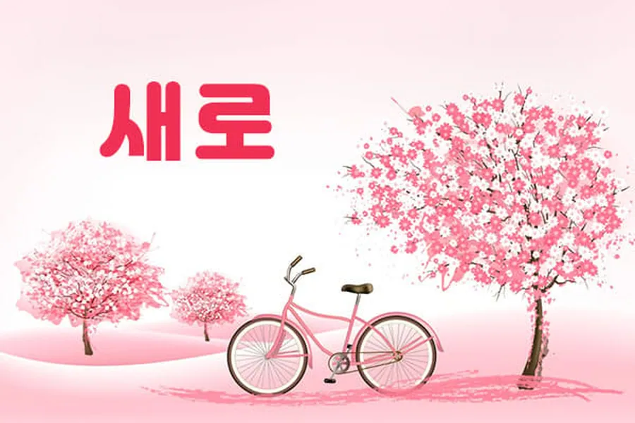 시흥시 배곧동 새로스웨디시 1인샵 매장 사진 1